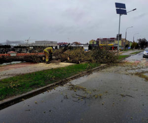 Wichury nad woj. lubelskim