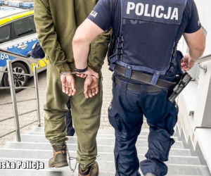 Reklamówka z martwymi psami w kontenerze na odzież! Zwierzęta miały identyczne obrażenia