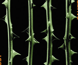 Type O Negative - October Rust