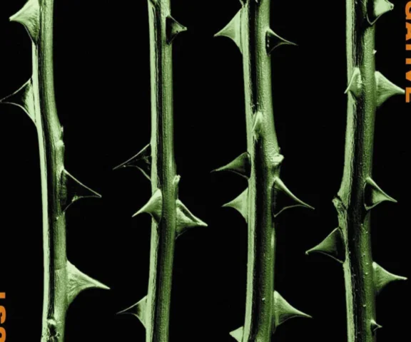 Type O Negative - 5 ciekawostek o albumie “October Rust” na 30-lecie | Jak dziś rockuje?