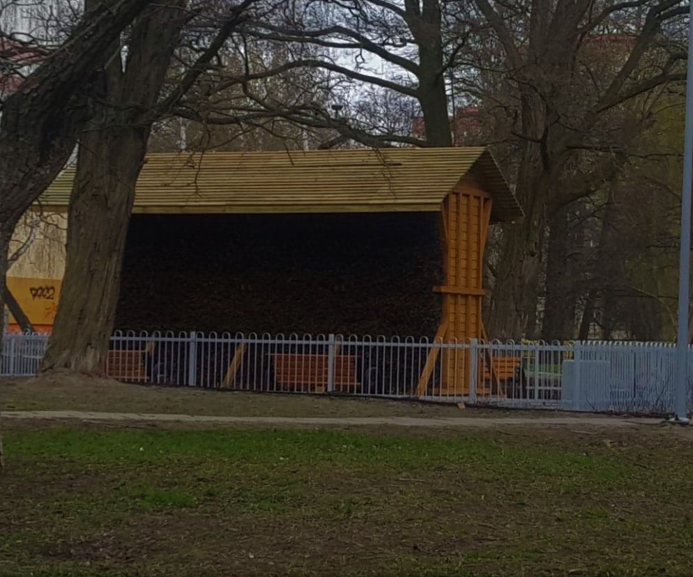 Tężnie w Toruniu rosną jak po deszczu