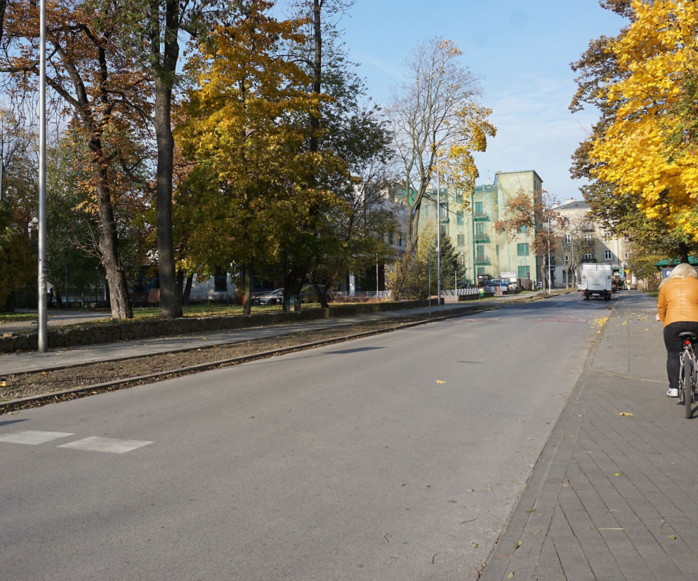 Będzie więcej roślin przy ulicy Solnej w Kielcach. Co tam posadzą?