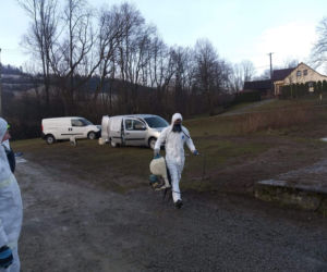 Krasne Potockie. Drugie ognisko ptasiej grypy w Małopolsce! Zakażone zwierzęta zostały zagazowane