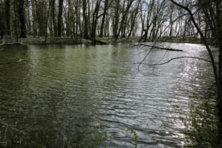 Pogoda na majówkę w Lesznie 2026