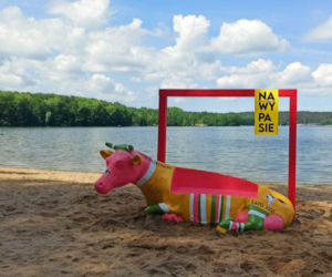 Olsztyn. Nowa atrakcja w mieście. Można zrobić sobie zdjecie z RÓŻOWĄ KROWĄ! [ZDJĘCIA]