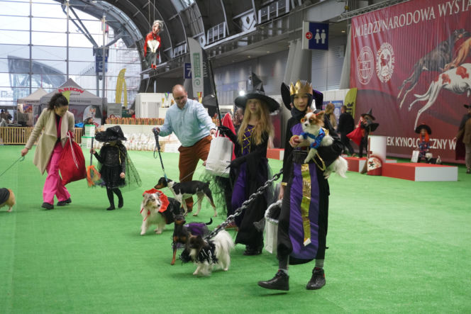 Międzynarodowa Wystawa Psów Rasowych Duo Cacib Kielce 2025