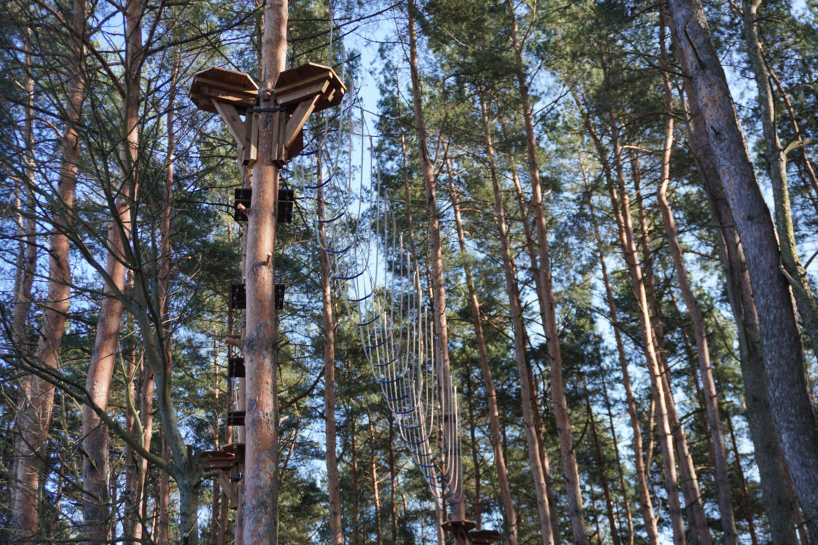 Powstaje park linowy w Białymstoku! To nowa inwestycja na plaży Dojlidy