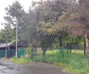  Katowice. Kolejne osiedle zamiast zieleni. Wytną drzewa! Mieszkańcy są OBURZENI! 