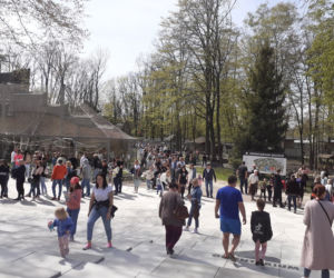 Tłumy w łódzkim Orientarium!
