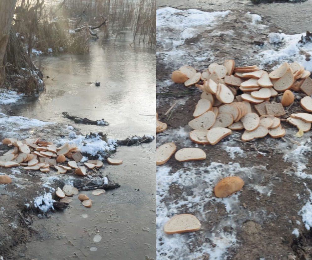 Chleb nad Rusałka