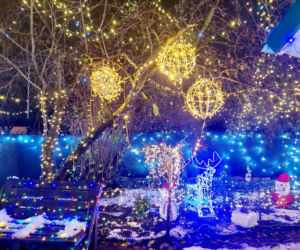 Dom bydgoskich Griswoldów znów rozbłysł. Powieśiliśmy 300 tysięcy lampek. Przygotowywaliśmy jej od lipca!