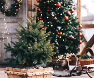 Świąteczna magia na zewnątrz. Taras może stać się zimową wizytówką twojego domu