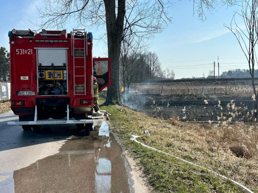 Pożar w Lubajnach pod Ostródą! Ogień zagraża schronisku dla zwierząt. Psy ewakuowane!