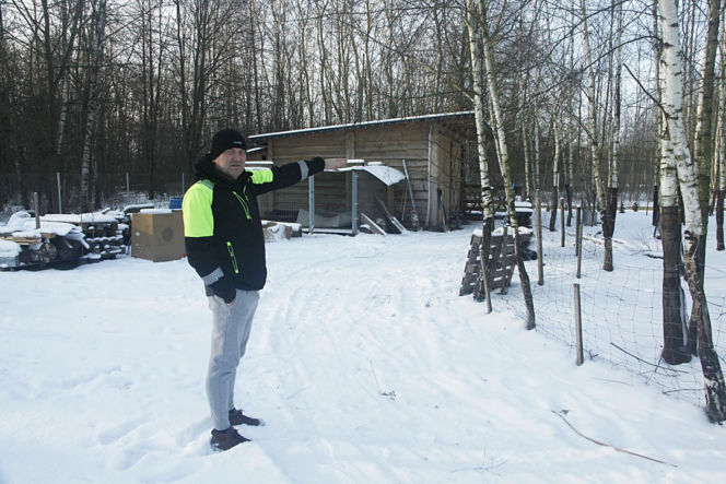 Wataha psów terroryzuje wieś. „Nie zaatakowały z głodu. To była napaść, by zabić”