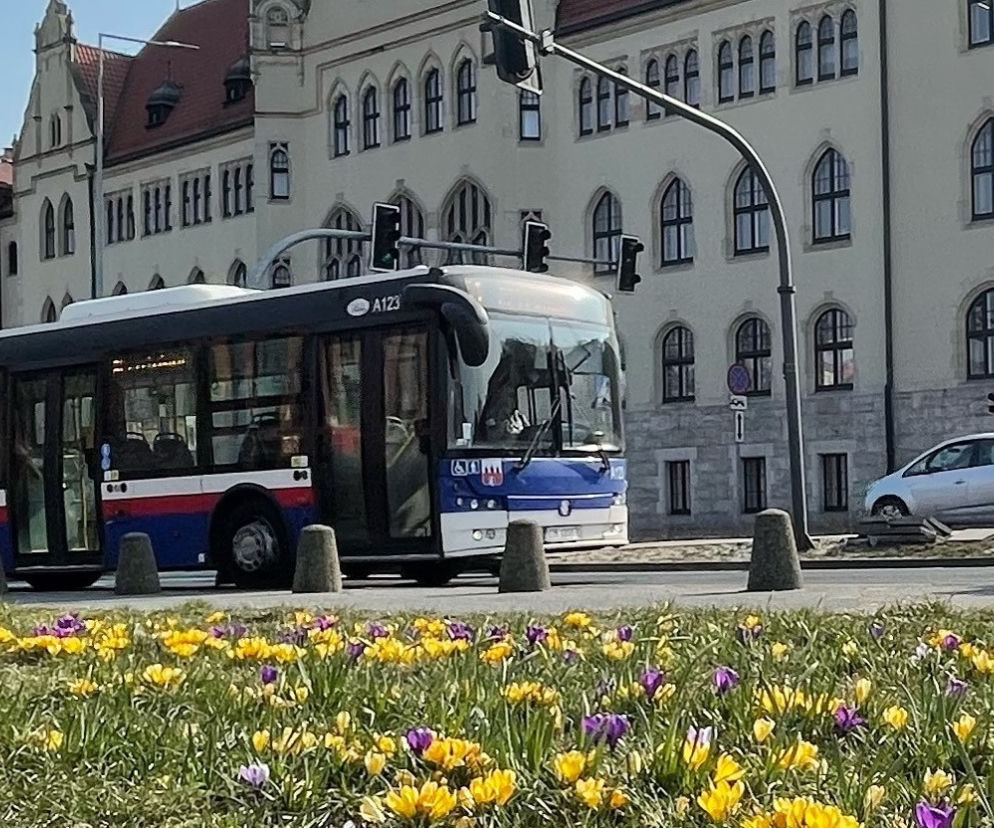 Bydgoszcz: komunikacja miejska w Wielkanoc 2022. Zmiany w kursowaniu autobusów i tramwajów!
