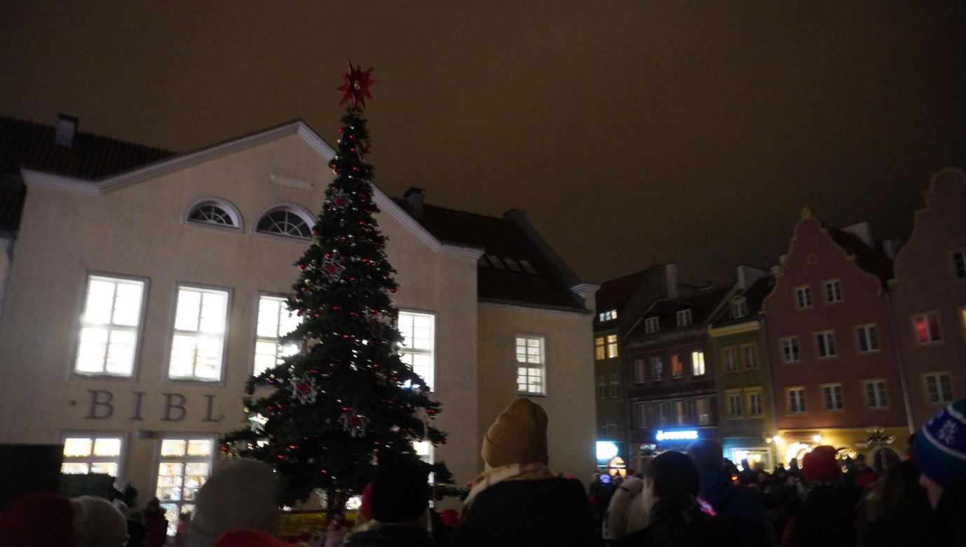 Święta w Olsztynie odpalone! Na Starym Mieście rozbłysła piękna choinka [ZDJĘCIA]