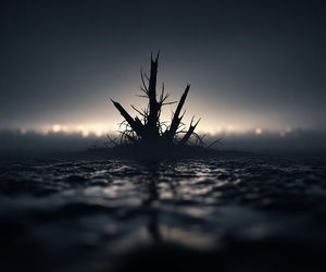 Lawina błotna we Włoszech. Czy bohaterstwo miało sens?