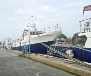 Cesenatico - klimatyczny kurort z historią. Przewodnik po najciekawszych miejscach