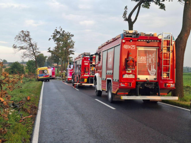 Śmiertelny wypadek na trasie Leszno Śrem