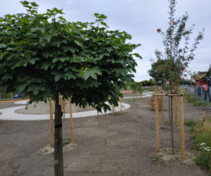 park Gronowo