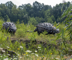 JuraPark Krasiejów