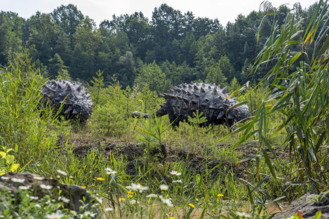 JuraPark Krasiejów