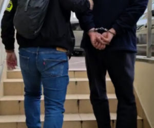 Koniec dziupli w powiecie wołomińskim