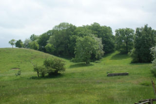 Białe Morza w Krakowie zmieniły się nie do poznania. Kiedyś były tu odpady, dziś jest zieleń i spokój