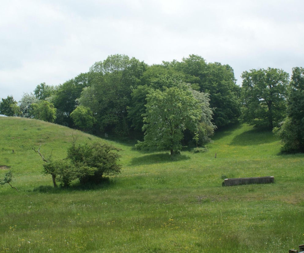 To jeden z największych terenów zielonych w Krakowie. Kiedyś królowały tu odpady, dziś jest oazą zieleni i spokoju