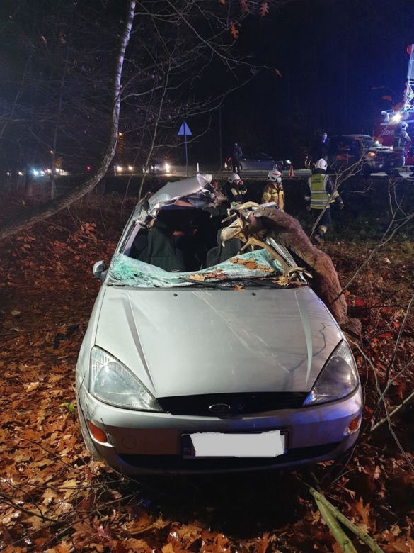 Niepołomice. WYPADEK na DK 75! Jedna osoba w szpitalu po zderzeniu z jeleniem