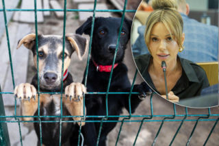 Doda rusza na pomoc zwierzętom! Interwencja w Sobolewie. Pdły ostre słowa!