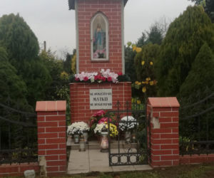 Wyjątkowo kolorowa jesień w Gminie Iława. Wszędzie chryzantemny!