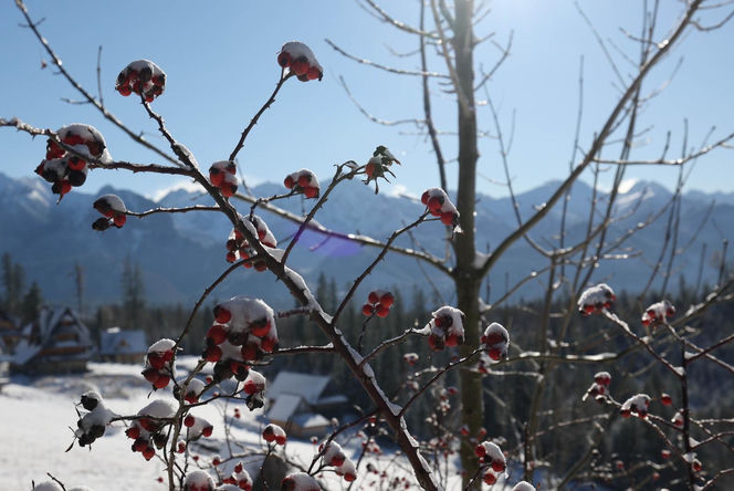 Śnieg w Tatrach