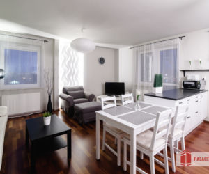 Salon w nowoczesnym stylu