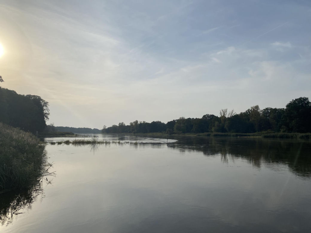 Rzeka Odra w okolicy Lasu Odrzańskiego