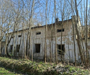 Odkryj Doły Biskupie – niezwykłe miejsce w województwie świętokrzyskim, gdzie historia Gombrowicza łączy się ze śladami prehistorycznych gadów i potęgą przemysłu.