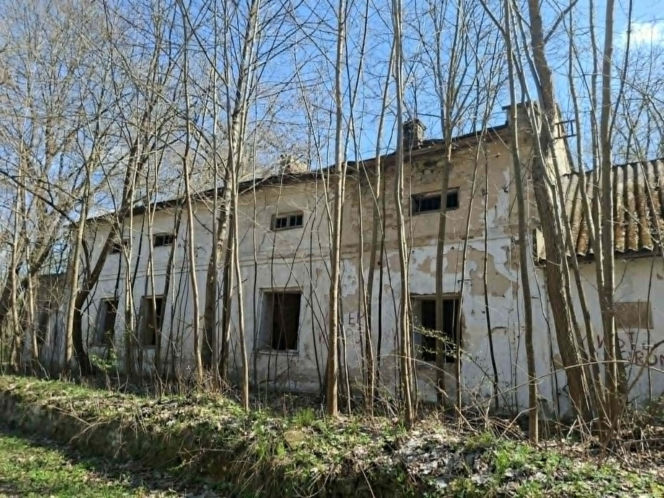 Odkryj Doły Biskupie – niezwykłe miejsce w województwie świętokrzyskim, gdzie historia Gombrowicza łączy się ze śladami prehistorycznych gadów i potęgą przemysłu.