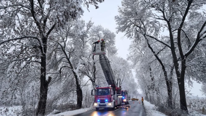Uszkodzone dachy i ludzie odcięci od prądu. Najtrudniejsza sytuacja na Podkarpaciu