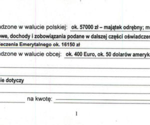 Aleksandra Dulkiewicz i jej majątek