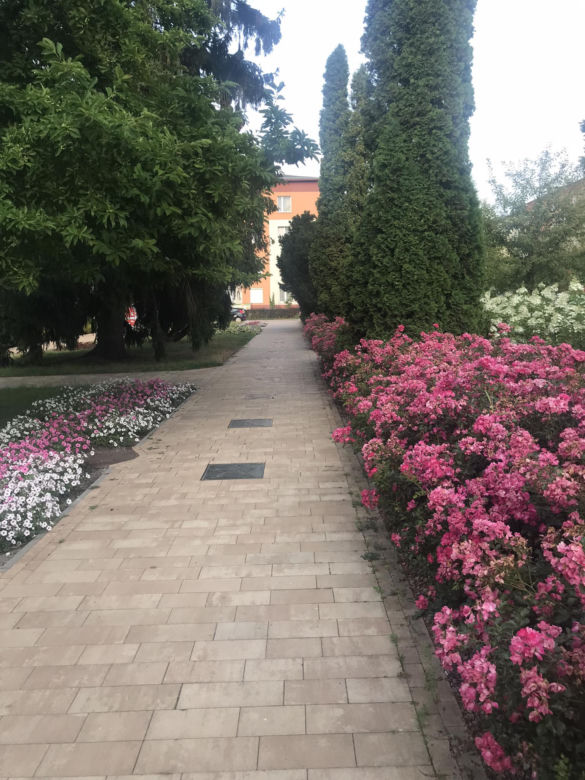 Spacer po Kraśniku Fabrycznym