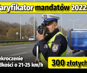 Taryfikator mandatów 2022 