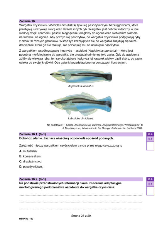 Matura 2023 rozszerzona biologia - arkusz CKE
