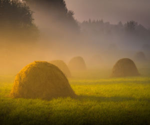 Baśniowy klimat o poranku na Podkarpaciu