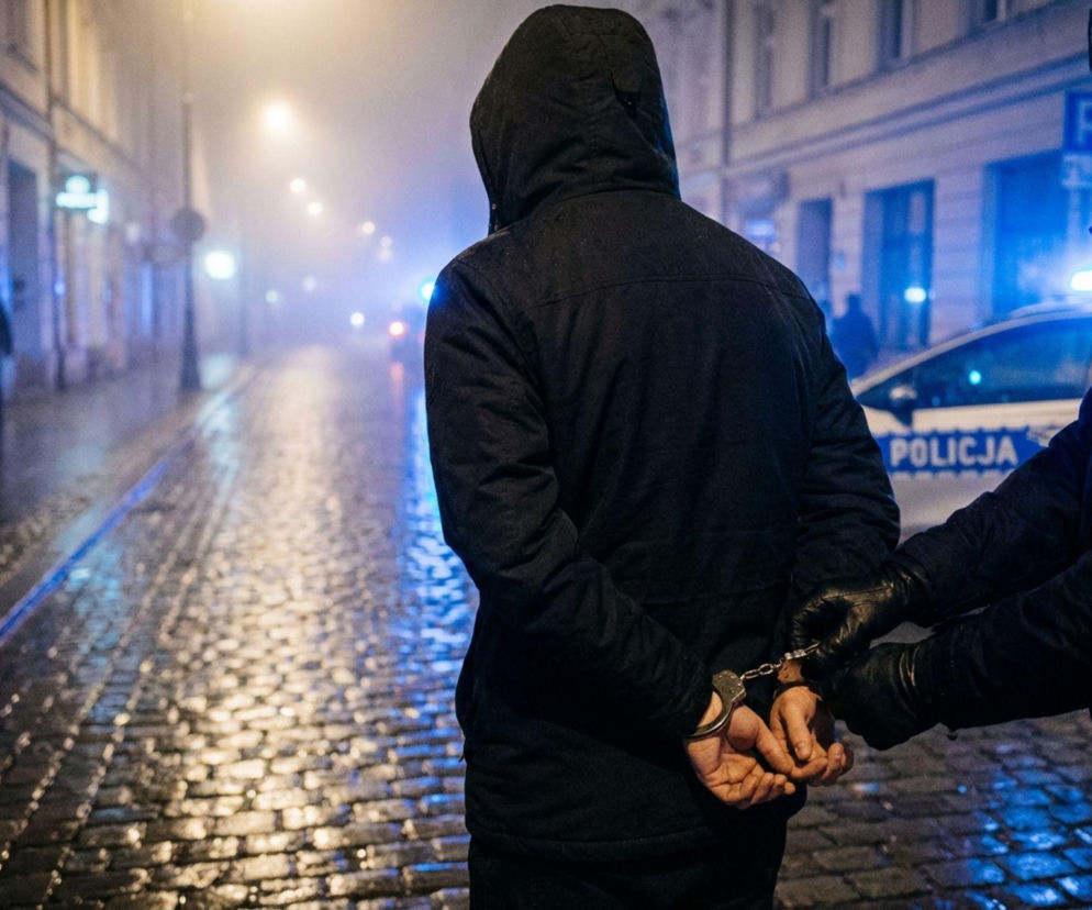 Zatrzymanie przestępcy z Gorzowa. Wpadł w Niemczech po półtora roku ukrywania się