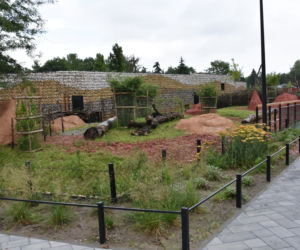 ZOO w Zamościu