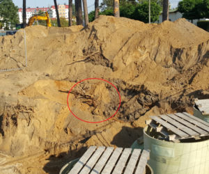 Na ul. Grunwaldzkiej robotnicy wykopali pocisk moździerzowy!