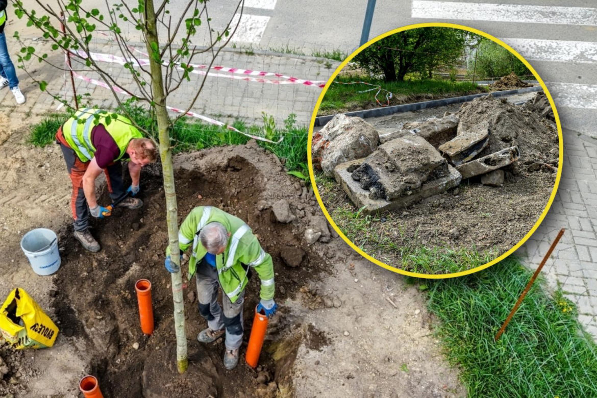 Niemiła niespodzianka w nowym parku