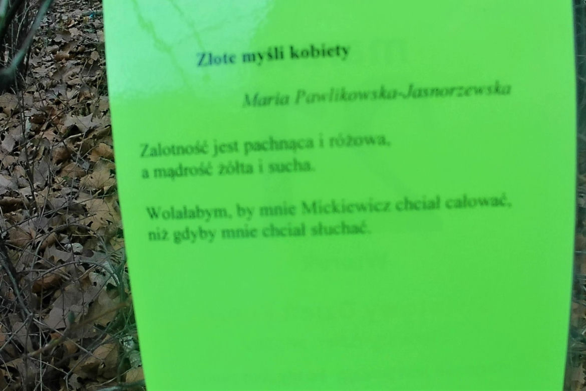 Światowy Dzień Poezji w Szczecinie