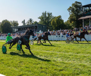Niedziela na Partynicach: wyścigi konne i Dzień Seniora