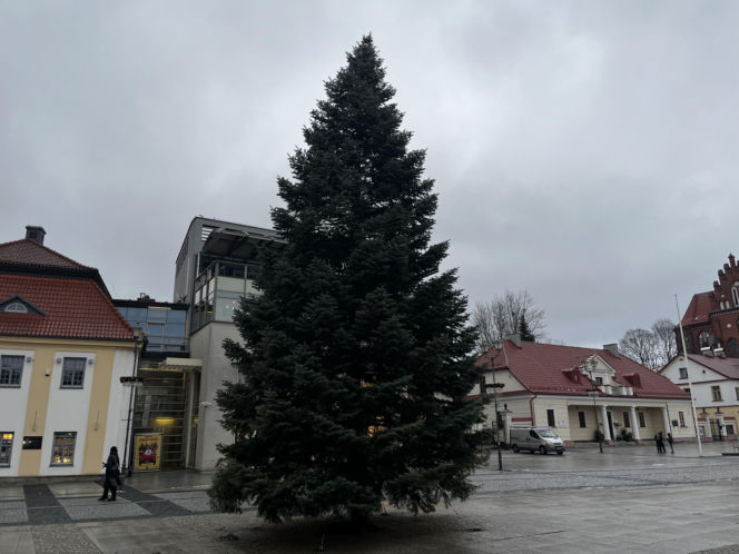 Wielki choinka stanęła na Rynku Kościuszki